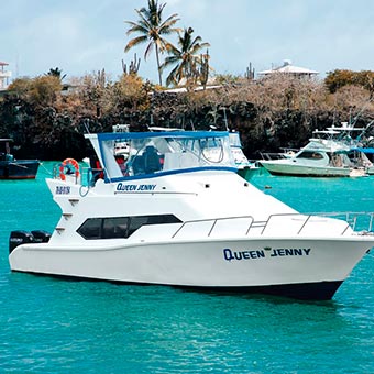 Hotel Silberstein picture.